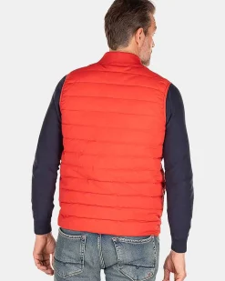 NZA New Zealand Auckland Jassen|Effen Bodywarmer-Jacket Red