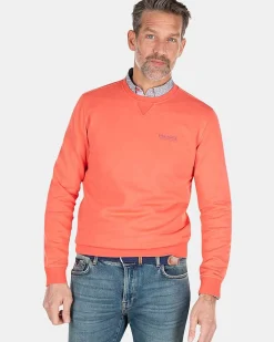 NZA New Zealand Auckland Sweats|Effen Sweater Met Ronde Hals-Red Cider