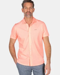 NZA New Zealand Auckland Overhemden|Roze Overhemd-Fury Pink